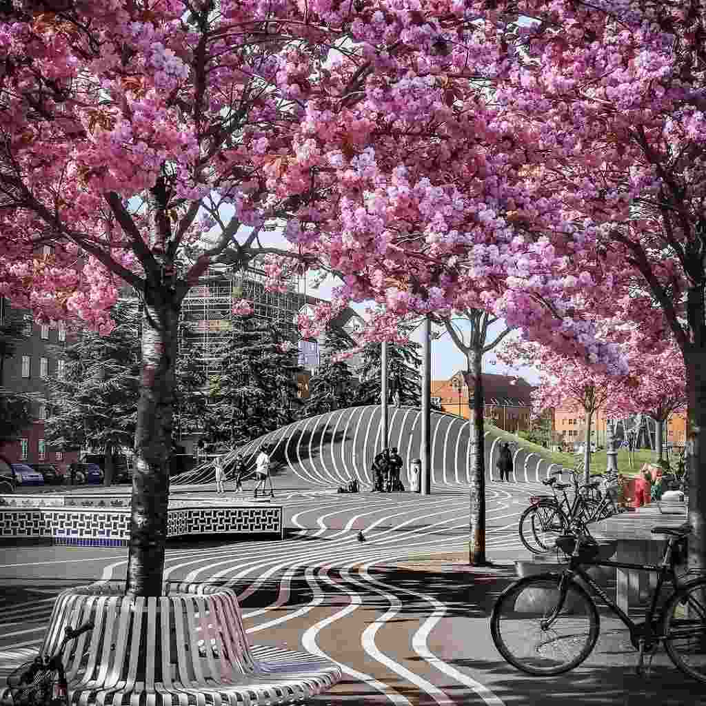 آهنگ جدید  قبرمه کاشکی کنین کاشی دونه دونه